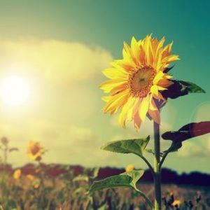 Meet your Posher, Kay